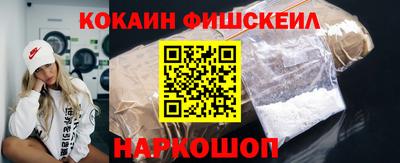 индика Можга