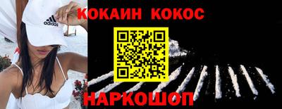 индика Можга