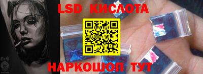 индика Можга