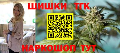 индика Можга