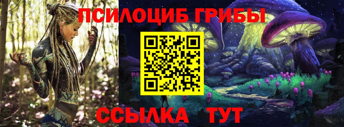 Чебаркуль  Псилоцибиновые грибы прущие грибы  Вход с VPN  Псилоцибиновые грибы прущие грибы 